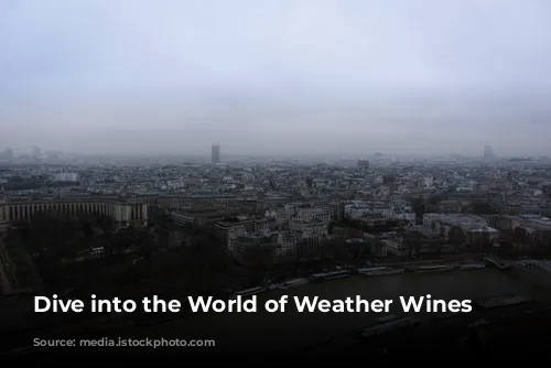 Dive into the World of Weather Wines