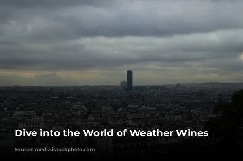 Dive into the World of Weather Wines