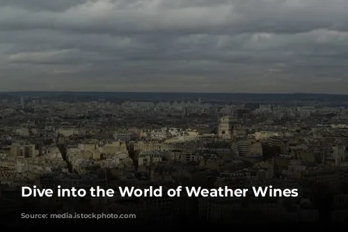 Dive into the World of Weather Wines