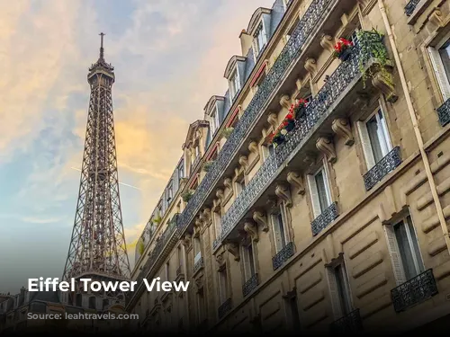 Eiffel Tower View