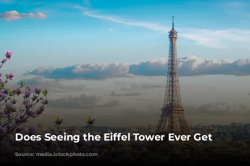 Does Seeing the Eiffel Tower Ever Get Old?