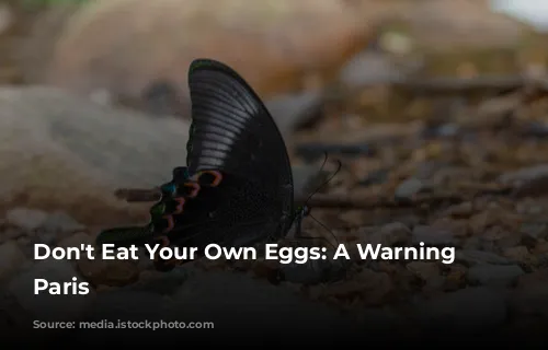 Don't Eat Your Own Eggs:  A Warning from Paris