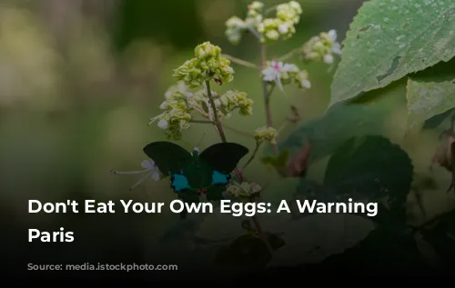 Don't Eat Your Own Eggs:  A Warning from Paris