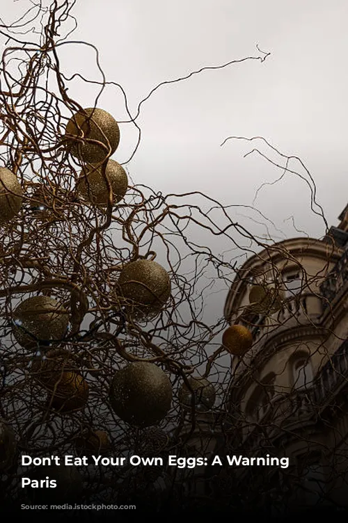 Don't Eat Your Own Eggs:  A Warning from Paris