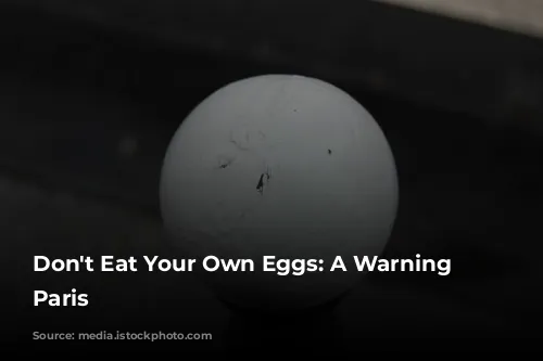 Don't Eat Your Own Eggs:  A Warning from Paris