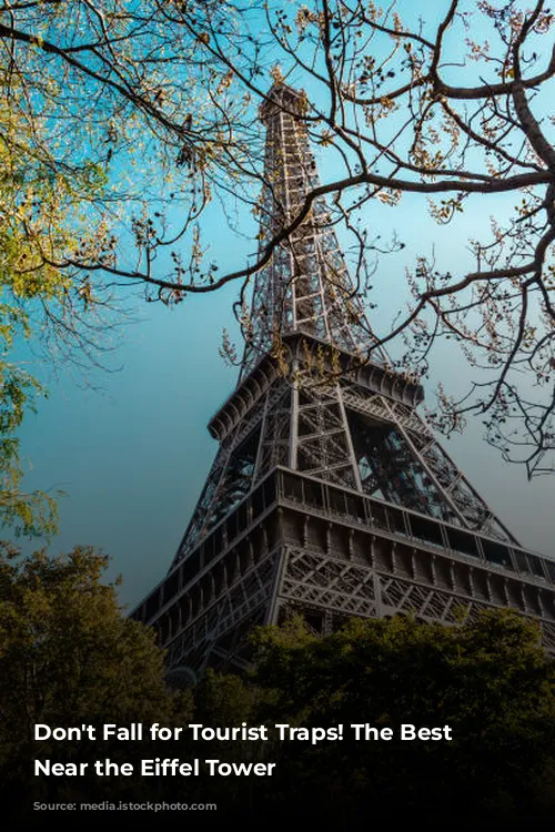 Don't Fall for Tourist Traps! The Best Restaurants Near the Eiffel Tower