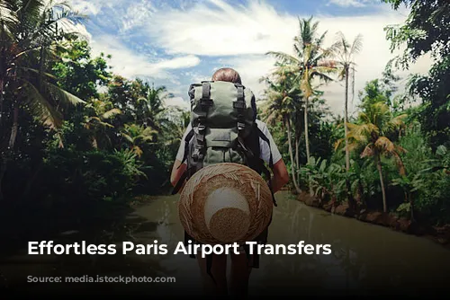 Effortless Paris Airport Transfers