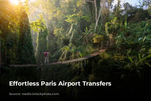 Effortless Paris Airport Transfers