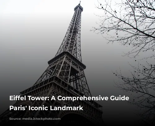 Eiffel Tower: A Comprehensive Guide to Paris' Iconic Landmark