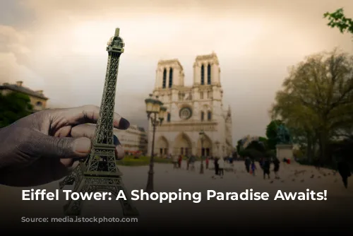 Eiffel Tower: A Shopping Paradise Awaits!