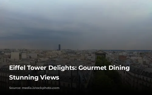 Eiffel Tower Delights: Gourmet Dining with Stunning Views