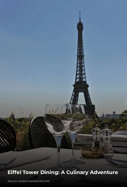 Eiffel Tower Dining: A Culinary Adventure Awaits