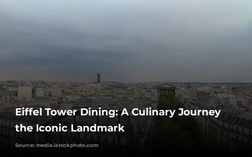 Eiffel Tower Dining: A Culinary Journey Around the Iconic Landmark