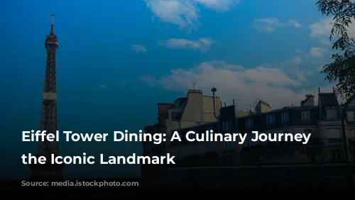 Eiffel Tower Dining: A Culinary Journey Around the Iconic Landmark