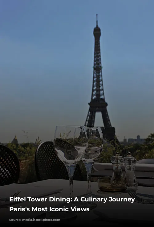 Eiffel Tower Dining: A Culinary Journey Through Paris's Most Iconic Views