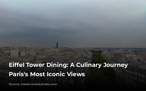 Eiffel Tower Dining: A Culinary Journey Through Paris's Most Iconic Views