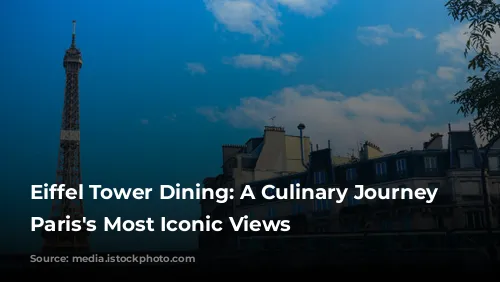 Eiffel Tower Dining: A Culinary Journey Through Paris's Most Iconic Views