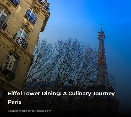 Eiffel Tower Dining: A Culinary Journey Through Paris