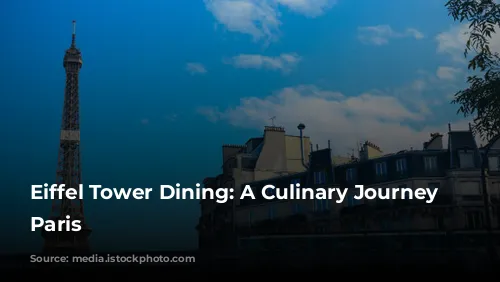 Eiffel Tower Dining: A Culinary Journey Through Paris