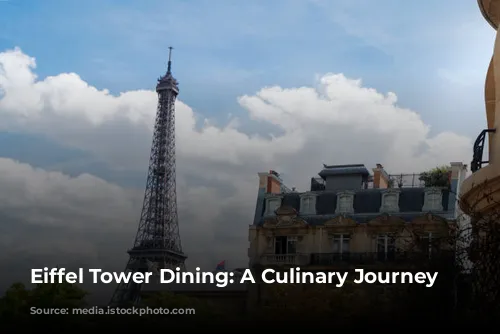 Eiffel Tower Dining: A Culinary Journey