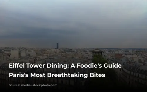 Eiffel Tower Dining: A Foodie's Guide to Paris's Most Breathtaking Bites