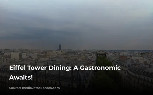 Eiffel Tower Dining: A Gastronomic Adventure Awaits!