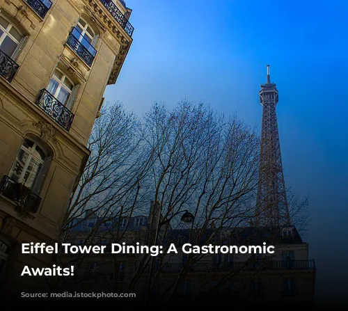 Eiffel Tower Dining: A Gastronomic Adventure Awaits!