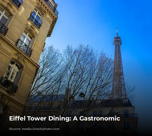 Eiffel Tower Dining: A Gastronomic Adventure