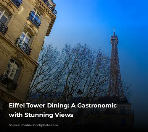 Eiffel Tower Dining: A Gastronomic Journey with Stunning Views