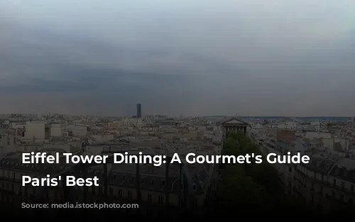 Eiffel Tower Dining: A Gourmet's Guide to Paris' Best