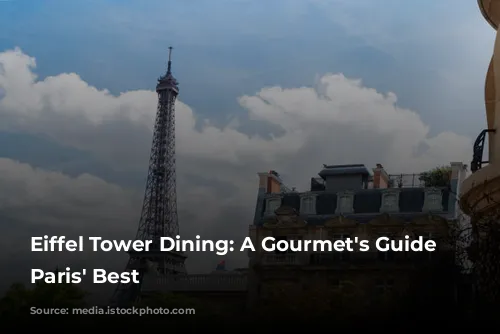 Eiffel Tower Dining: A Gourmet's Guide to Paris' Best