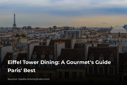 Eiffel Tower Dining: A Gourmet's Guide to Paris' Best