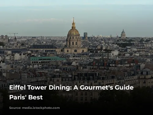 Eiffel Tower Dining: A Gourmet's Guide to Paris' Best