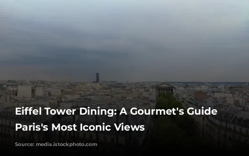 Eiffel Tower Dining: A Gourmet's Guide to Paris's Most Iconic Views