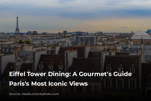 Eiffel Tower Dining: A Gourmet's Guide to Paris's Most Iconic Views