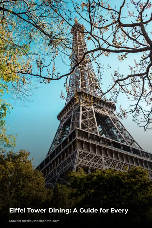 Eiffel Tower Dining: A Guide for Every Taste