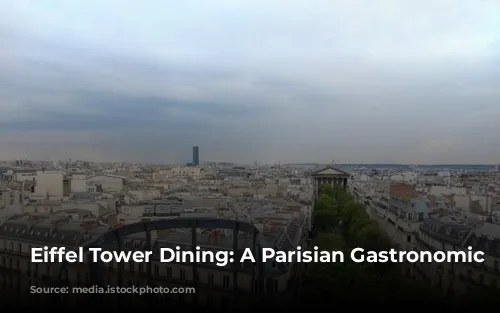 Eiffel Tower Dining:  A Parisian Gastronomic Journey