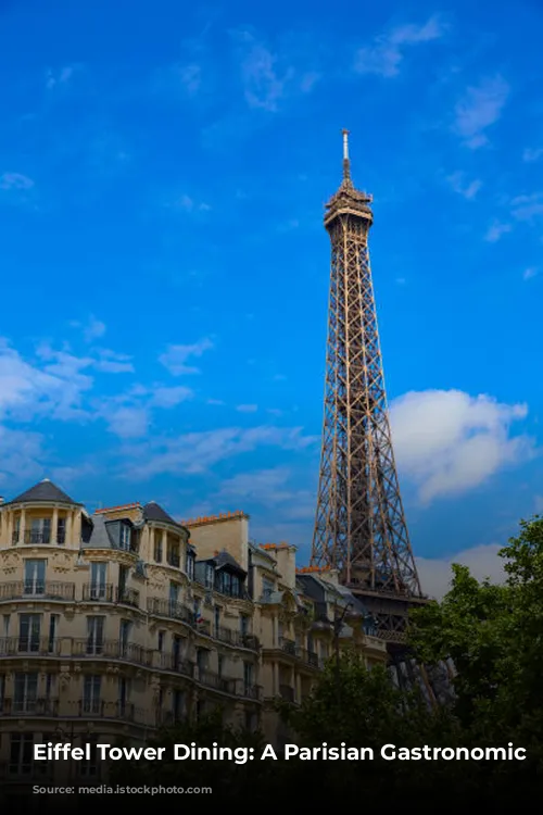 Eiffel Tower Dining:  A Parisian Gastronomic Journey