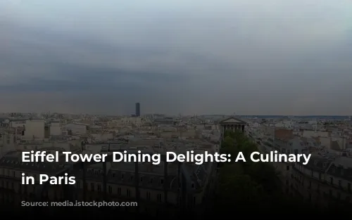 Eiffel Tower Dining Delights: A Culinary Adventure in Paris