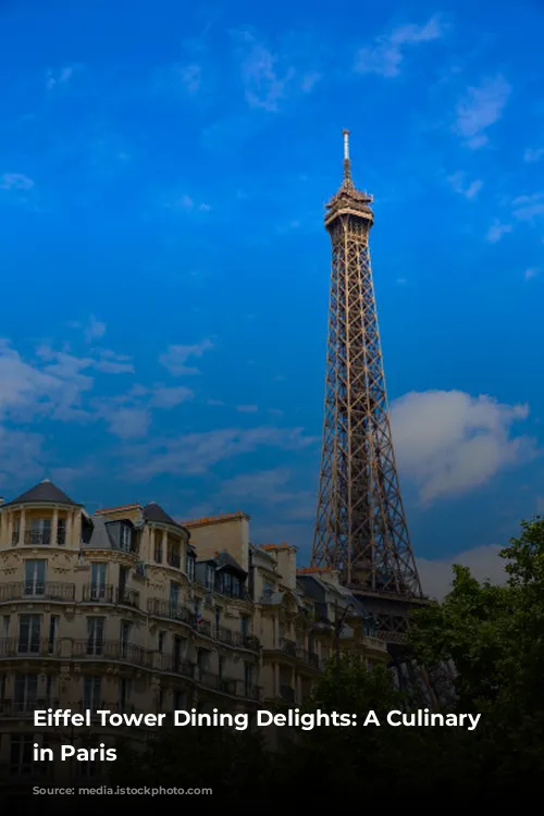 Eiffel Tower Dining Delights: A Culinary Adventure in Paris