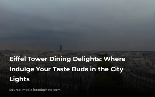 Eiffel Tower Dining Delights:  Where to Indulge Your Taste Buds in the City of Lights