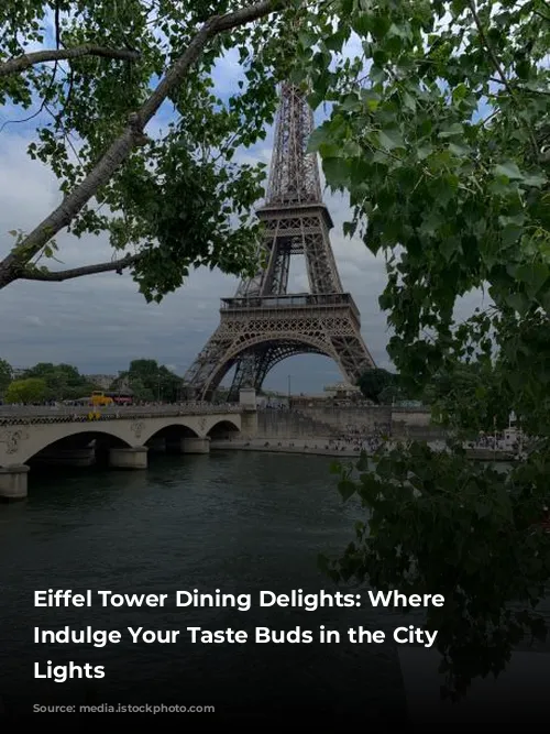 Eiffel Tower Dining Delights:  Where to Indulge Your Taste Buds in the City of Lights