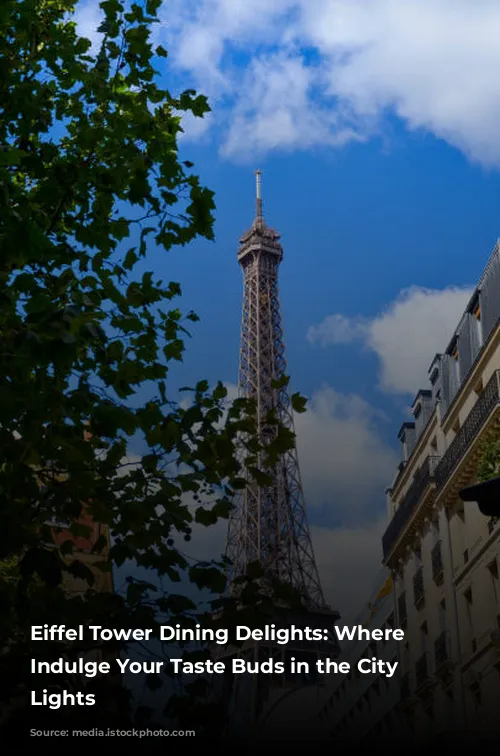 Eiffel Tower Dining Delights:  Where to Indulge Your Taste Buds in the City of Lights