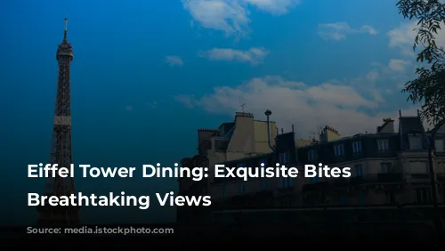 Eiffel Tower Dining: Exquisite Bites with Breathtaking Views