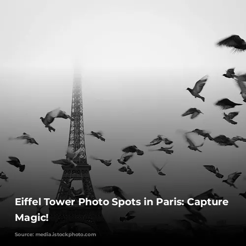 Eiffel Tower Photo Spots in Paris: Capture the Magic!