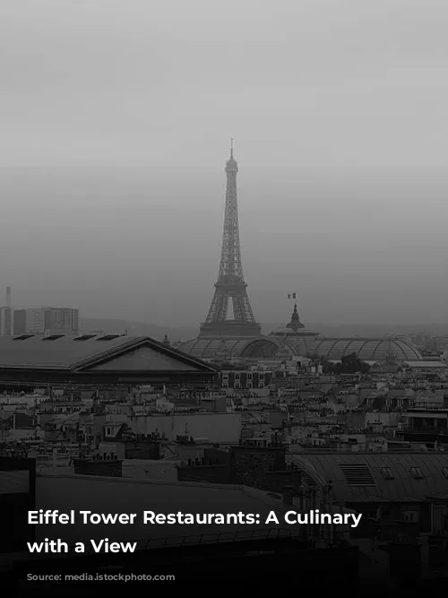 Eiffel Tower Restaurants: A Culinary Journey with a View