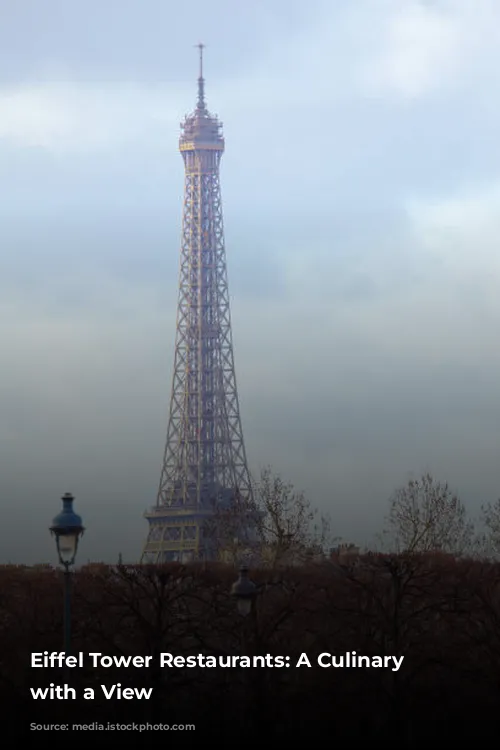 Eiffel Tower Restaurants: A Culinary Journey with a View