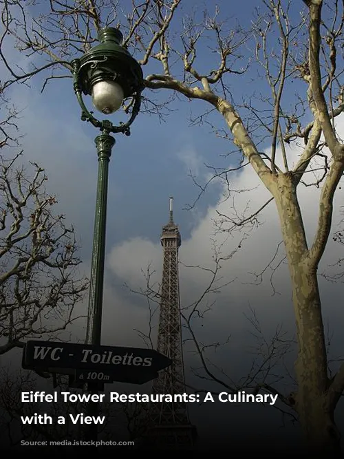 Eiffel Tower Restaurants: A Culinary Journey with a View