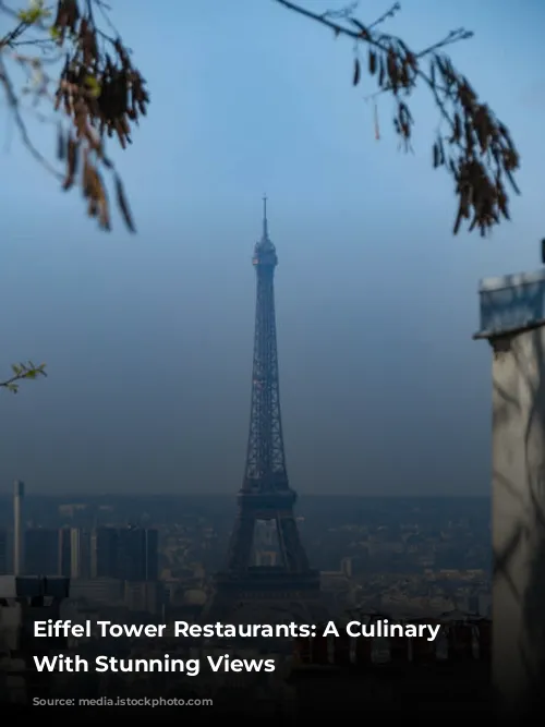 Eiffel Tower Restaurants: A Culinary Journey With Stunning Views