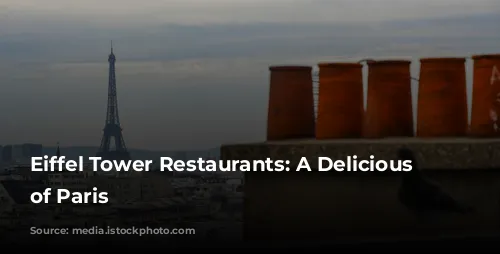 Eiffel Tower Restaurants: A Delicious View of Paris